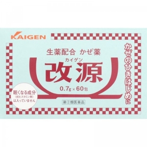 KAIGEN 카이겐 개원 감기약
